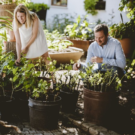 Stimmungsfoto Lisa und Georg Weinwurm im Innenhof