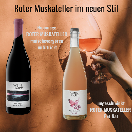 Foto Hommage Grüner Veltliner Reserve und Chardonnay Reserve